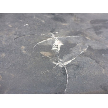 OSŁONA PŁYTA PODWOZIA LEWA KIA RIO III 11-