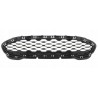 ATRAPA CHŁODNICY GRILL FORD FIESTA MK8 17- NOWY
