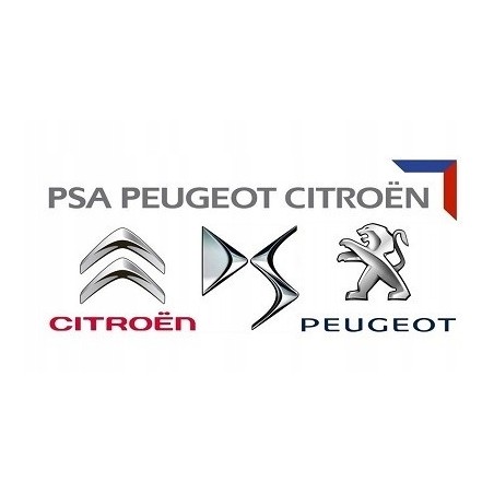 SILNICZEK NAGRZEWNICY PEUGEOT 3008 II 16-