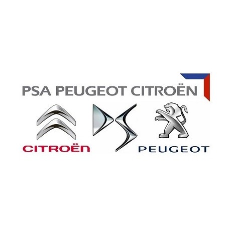LUSTERKO LEWE PRZÓD CITROEN C3 III 16- 7 PIN