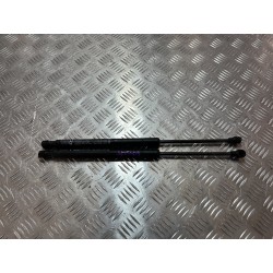 SIŁOWNIKI MASKI RENAULT ARKANA 20-