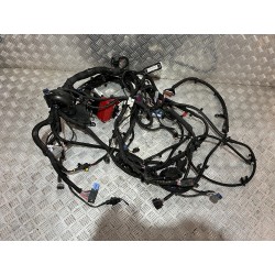 WIĄZKA KOMORY SILNIKA RENAULT SYMBIOZ 24- 1.6 SCE E-TECH