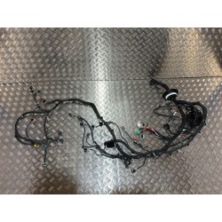 WIĄZKA KOMORY SILNIKA RENAULT ARKANA 20- 1.6 SCE E-TECH UK