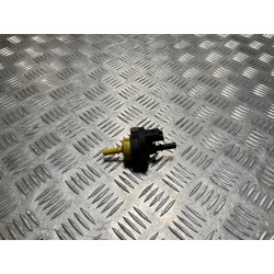 ZAWÓR PODCIŚNIENIA RENAULT ARKANA 20- 1.6 SCE E-TECH