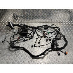 WIĄZKA KOMORY SILNIKA RENAULT ARKANA LIFT 23- 1.6 SCE E-TECH