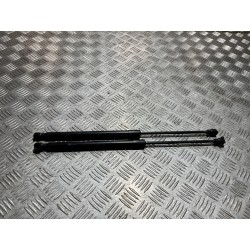 SIŁOWNIKI KLAPY BAGAŻNIKA KOMPLET RENAULT CAPTUR II 19-