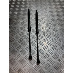 SIŁOWNIKI KLAPY BAGAŻNIKA KOMPLET CITROEN E-C4 C4 III 20-