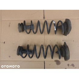 SPRĘŻYNY TYŁ KOMPLET RENAULT MEGANE III HB