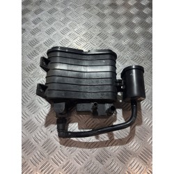 FILTR WĘGLOWY PALIWA MG HS II 2024- 1.5 T-GDI