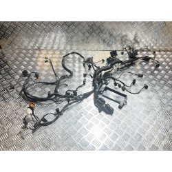 WIĄZKA ELEKTRYCZNA TRIUMPH STREET TRIPLE 765 R 17-19
