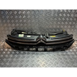 GRILL ATRAPA CHROMY CITROEN C3 III B618 16-