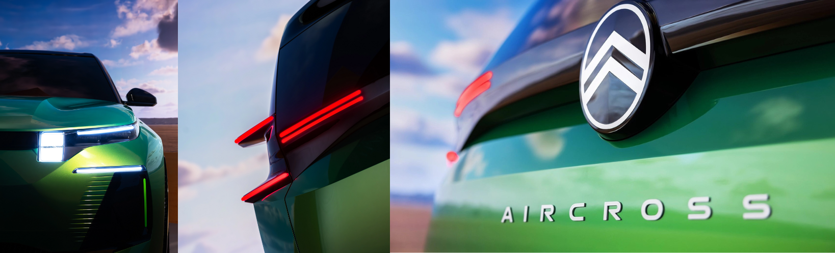 Poznasz go po spojrzeniu i… skrzydłach